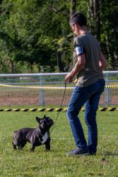 IMG-20230628-WA0007-682x1024